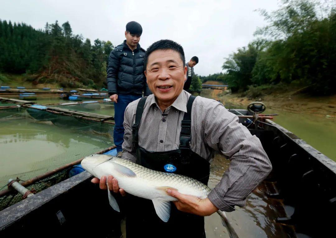 小洲最新动态，未来无限可能揭秘