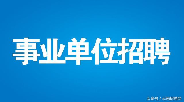 郫县交通运输局最新招聘启事概览