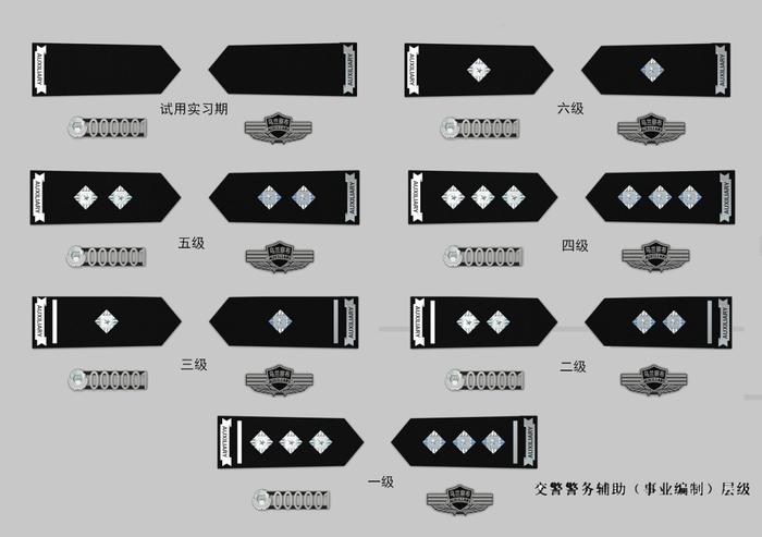 辅警改革最新动态概述