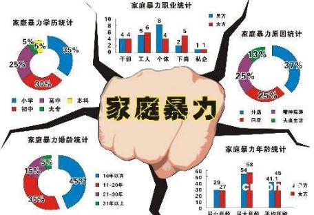 家庭暴力法律最新规定的深度解读与探讨