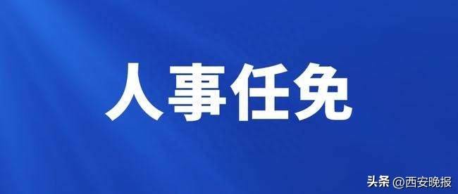 卯相公司人事大调整，迈向新高度，引领企业未来之路