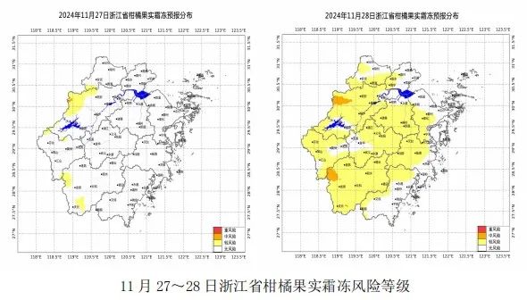 浙江冷空气最新动态，深度解析及应对指南