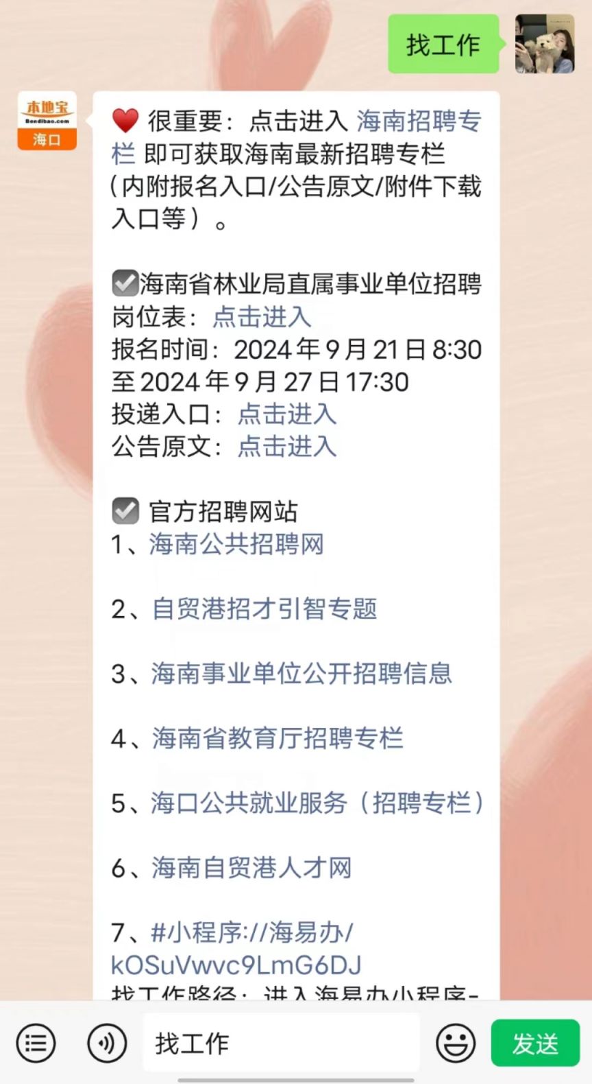 海南招聘网最新招聘动态深度解析与解读