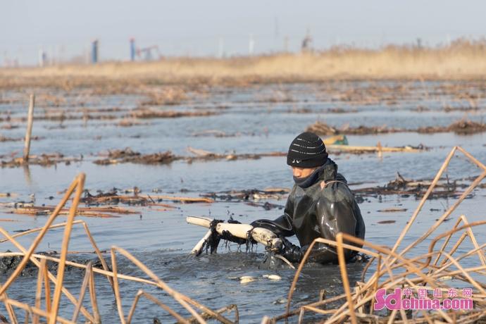 荷叶地街道新任领导引领社区开启新篇章