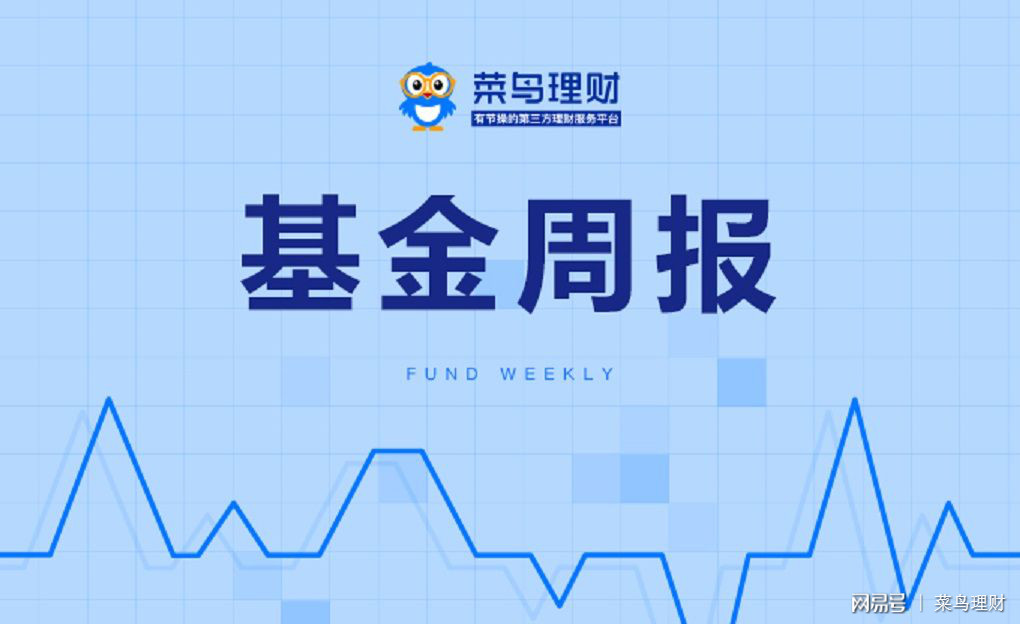 基金行情最新动态解析，市场走势展望与分析报告