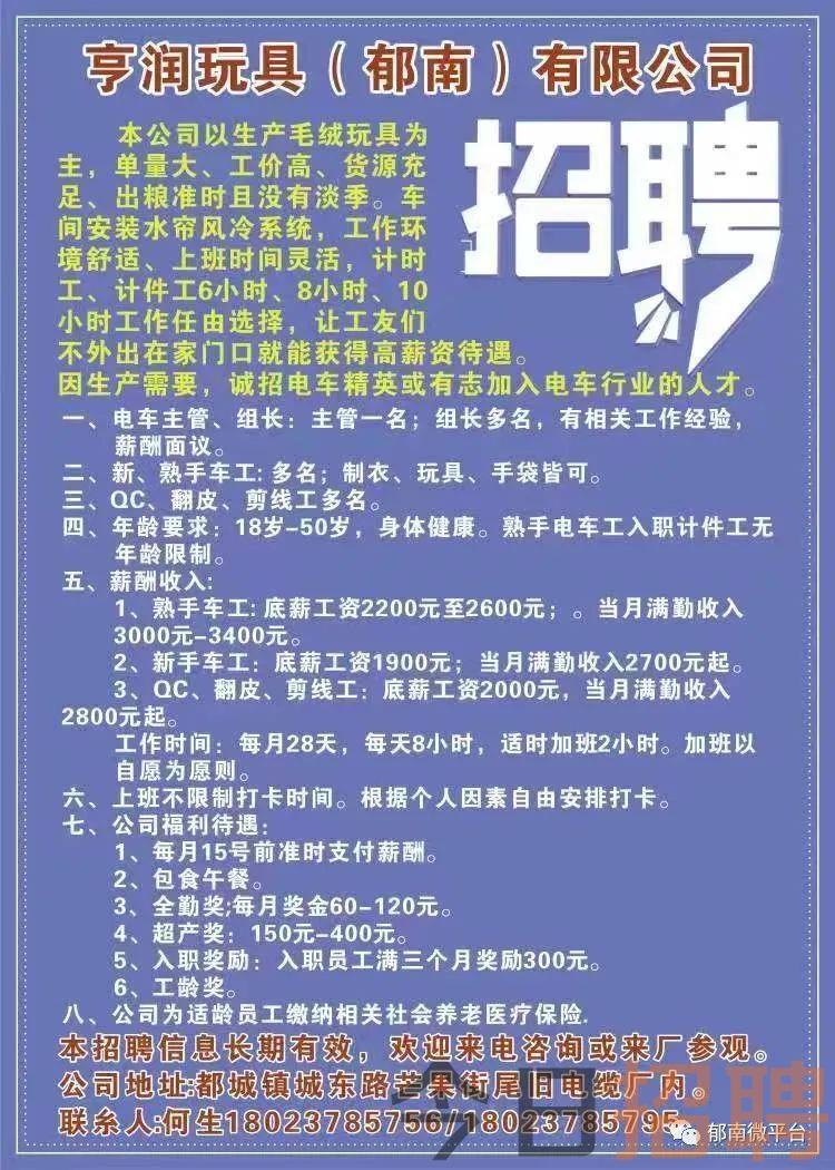 全南最新招聘信息总览