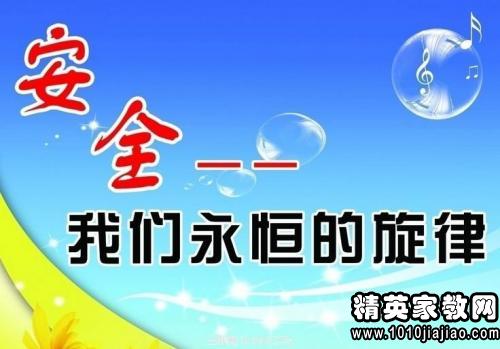 2024年12月9日 第13页