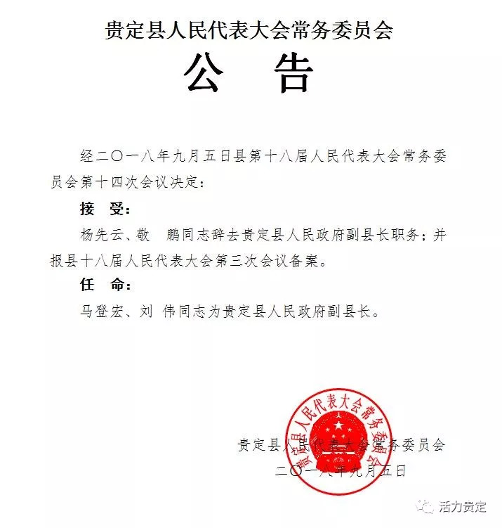 新寨人事任命动态深度解析