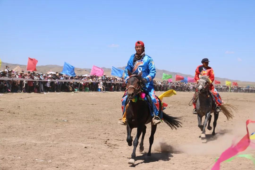 赛马镇最新项目，地区发展的强大引擎引领力量