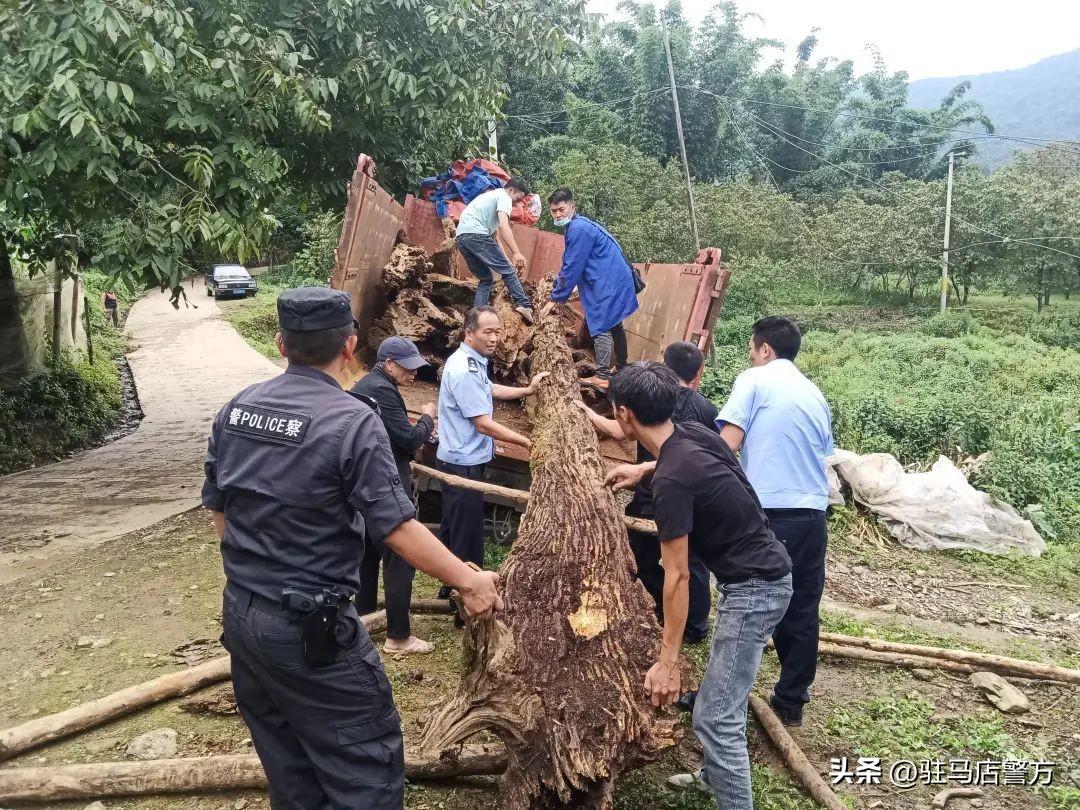 耿马傣族佤族自治县农业农村局领导团队简介