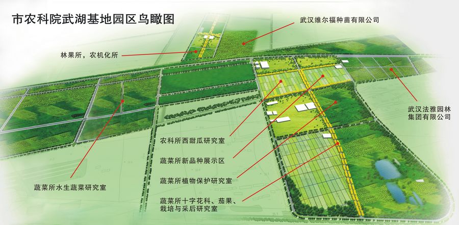 沈北新区农业农村局最新发展规划概览