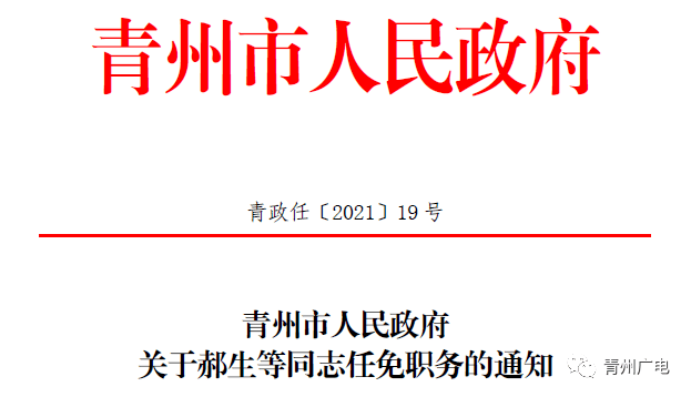 南市区数据与政务服务局人事任命动态解析