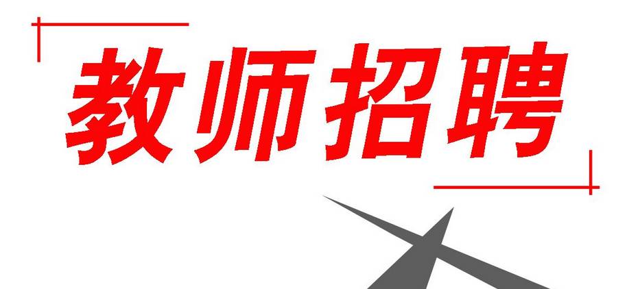 定陶县初中最新招聘信息全面解析