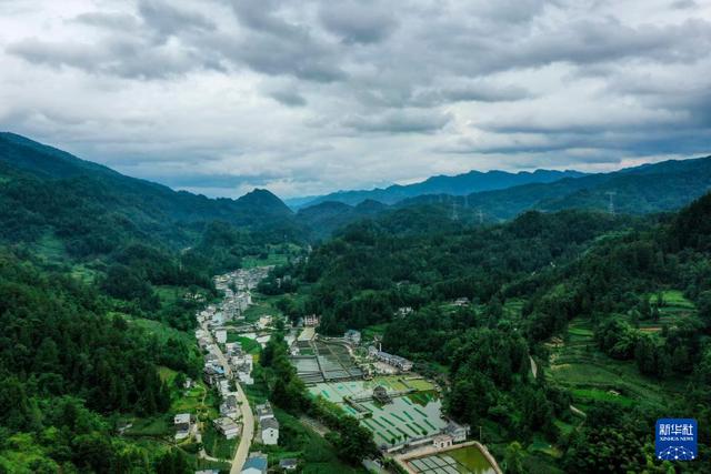 彭水苗族土家族自治县水利局最新项目概览与动态