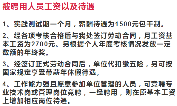 九台市初中最新招聘信息详解