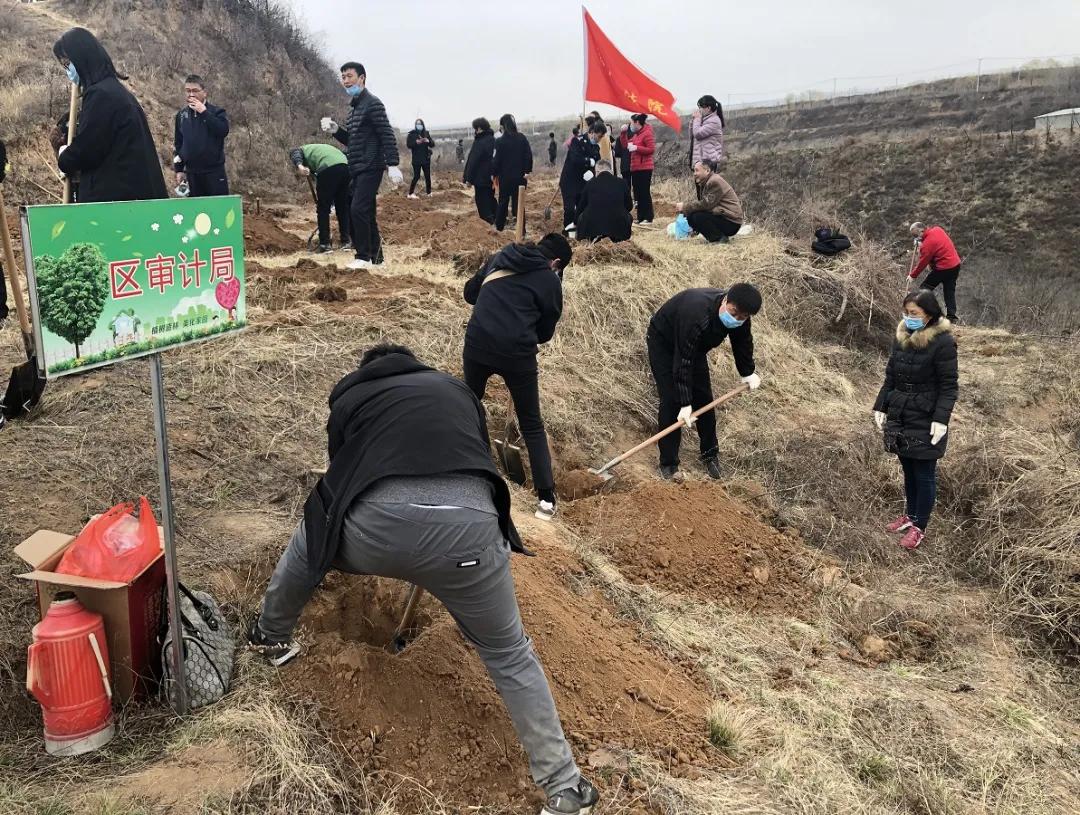 印台区审计局深化审计职能，助力地方经济高质量发展新动态