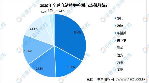 文圣区数据和政务服务局发展规划研究报告揭秘，未来蓝图展望