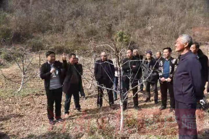 裕民县市场监管局启动新项目，推动现代化市场监管助力县域经济腾飞