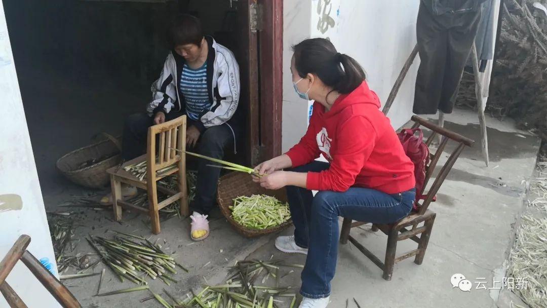 南山村发展规划揭秘，走向繁荣与可持续的未来