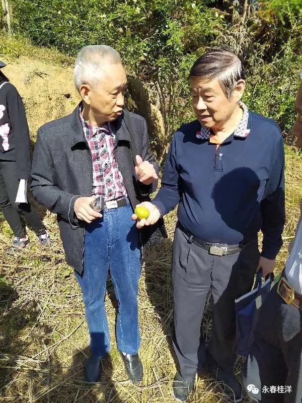 黑山村委会最新招聘信息汇总